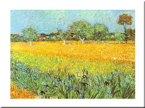 Buyartforless View of Arles with Irises by Vincent Van Gogh 16x20 Art Print Poster