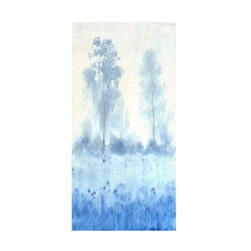 Trademark Fine Art 'Blue Focus I' Canvas Art by Tim OToole 10x19