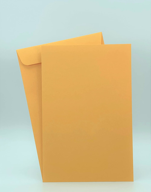 500 Cashier Depot 6" x 9" Premium Catalog Envelope, Durable 24lb Kraft, Deep Gum Flap (500 Envelopes) 500 Cashier Depot 6" x 9" Premium Catalog Envelope, Durable 24lb Kraft, Deep Gum Flap (500 Envelopes)