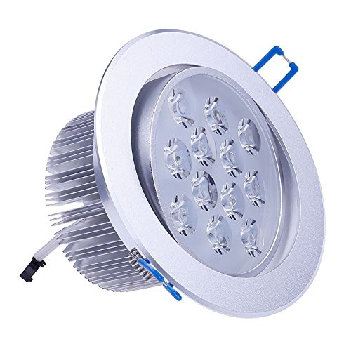 LEMONBEST 100% Brand New 110V Dimmable 12W LED Ceiling Light Downlight Recessed Lighting Decoration, Superbright Cool White