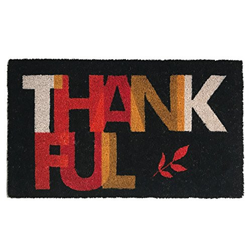 Calloway Mills 102371729 Thankful Doormat, 17" x 29", Multicolor