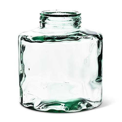 Abbott Collection 83-ECO-5859 Lg Jar Vase/Terrarium-8" H, 1 EA, Clear