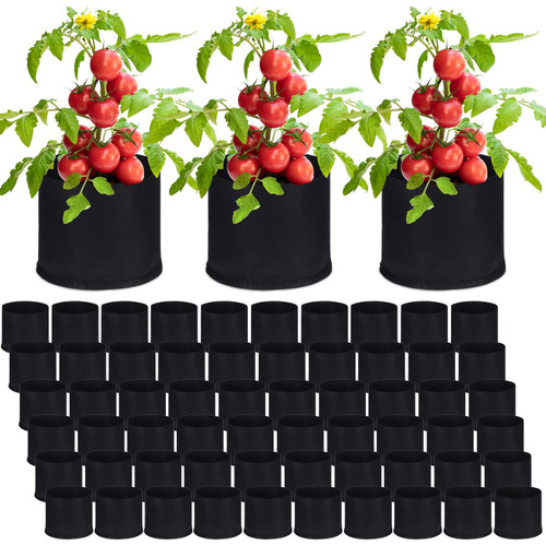Zubebe 60 Pack Plant Grow Bags Bulk Garden Bags Aeration Grow Pots Heavy Duty Thickened Nonwoven Fabric Plant Pots Black Planting Container for Potato Tomato Vegetable Flower Fruits (3 Gallon)