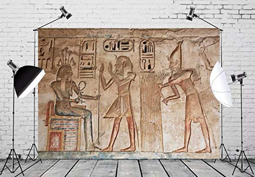 BELECO 7x5ft Wall Painting Backdrop Ancient Egyptian Gods and Hieroglyphs in Wall Painting Egyptian Tomb Phtography Backdrop for Party Decoration Photoshoot Photo Background Props