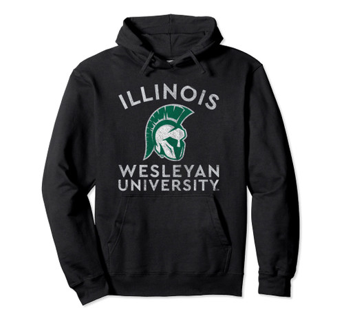 Illinois Wesleyan University Titans Large Pullover Hoodie