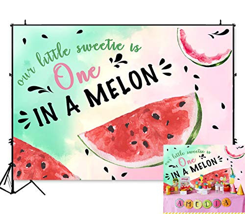Art Studio 7x5ft Summer Fruit Watermelon Theme Photography Backdrop Watercolor Sweet One in a Melon Birthday Party Cake Table Decoration Photo Background for Girls Studio Booth Props Vinyl