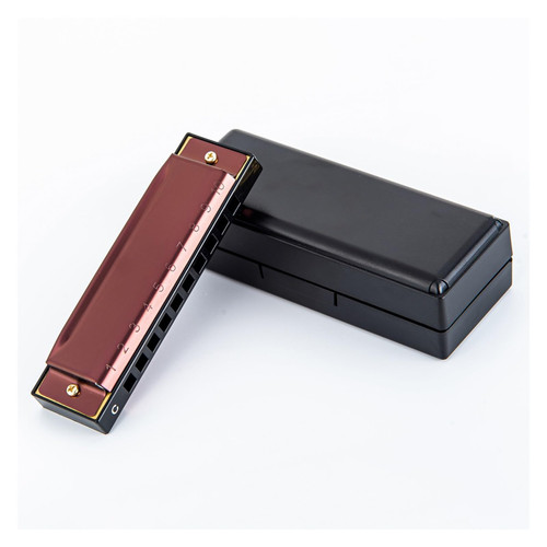 10 Hole 20 Tone C Key Diatonic Harmonica Stainless Steel Covers Harmonica With Case Beginner Harmonica