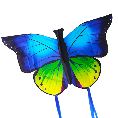Kaidenic 53inch Butterfly Kite with Flying Lines Easy to Fly for Kids and Adults (Blue)