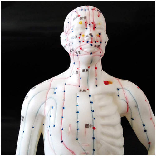 LEMITA Human Acupuncture Model - 26Cm Mini Acupuncture Model - Chinese Medicine Meridian Point Whole Body Massage Acupuncture Model - for Study Teaching