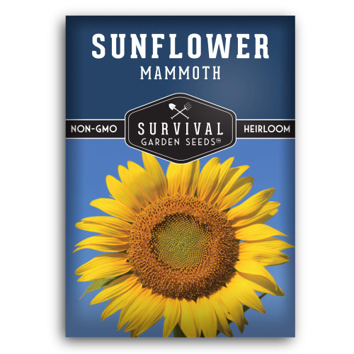 Survival Garden Seeds - Mammoth Sunflower Seed for Planting - Packet with Instructions to Plant and Grow Enormous Colorful Flowers in Your Home Flower or Vegetable Garden - Non-GMO Heirloom Variety Survival Garden Seeds - Mammoth Sunflower Seed for Planting - Packet with Instructions to Plant and Grow Enormous Colorful Flowers in Your Home Flower or Vegetable Garden - Non-GMO Heirloom Variety