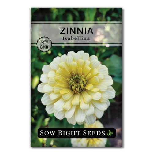 Sow Right Seeds - Isabellina Zinnia Seeds for Planting - Non-GMO Heirloom Packet to Plant & Grow an Outdoor Home Flower Garden - Fast Growing Pastel Yellow Blooms to Cut and Come Again - Annual (1)