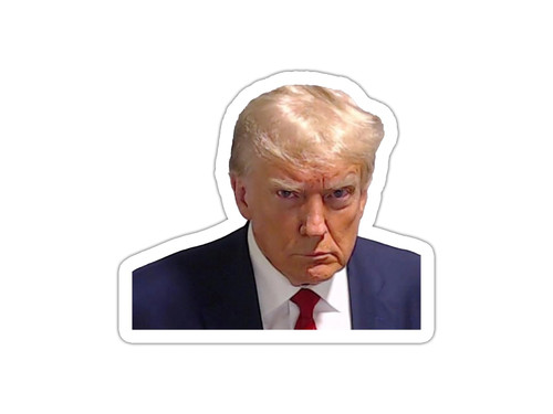 Funny Donald Trump President Fans Mugshot Magnet Gift for Refrigerators and Cars