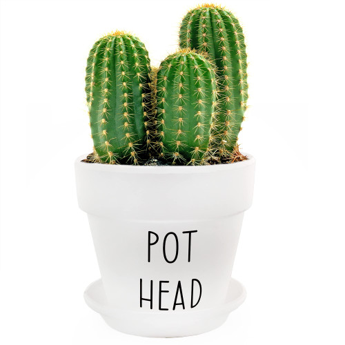 Esterno Pothead Planter Pot (2-Piece Set), Mini Decorative Planter with Saucer for Indoor Gardening
