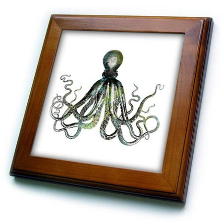 3dRose"Octopus Drawing On White Background Framed Tile 6" x 6"