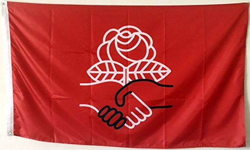 2But Democratic Socialists of America Flag Banner 3x5 Feet