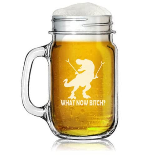 16oz Mason Jar Glass Mug w/Handle T-Rex Dinosaur What Now Btch Funny