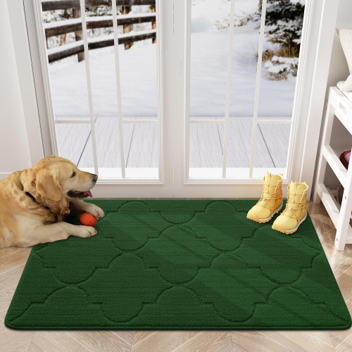 Arotive Door Mat, Indoor Mat, Non-Slip, Dirt Resist, Absorbent Entryway Doormat, Low-Profile Inside Front Doormats for Entrance (36x24 inches, Green) Arotive Door Mat, Indoor Mat, Non-Slip, Dirt Resist, Absorbent Entryway Doormat, Low-Profile Inside Front Doormats for Entrance (36x24 inches, Green)