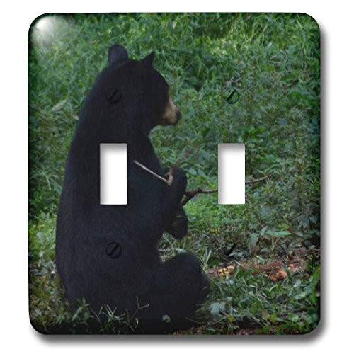 3dRose LSP_63352_2 A Black Bear Guarding its Playing Stick Double Toggle Switch