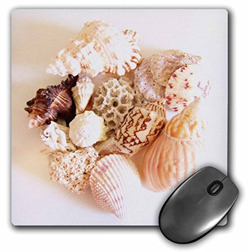 3dRose LLC 8 x 8 x 0.25 Inches Mouse Pad, She Sells Sea Shells (mp_18683_1)