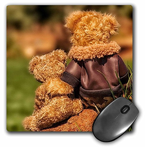 3dRose LLC 8 x 8 x 0.25 Inches Mouse Pad, Teddy Bears Father and Son Fathers Day (mp_164749_1)