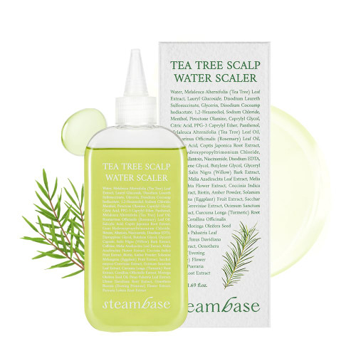 STEAMBASE Tea Tree Scalp Water Scaler | Dry Scalp Cleansing and Hydration | Natural BHA & Tea Tree | Remove Hair Odor & Scalp Buildup | Water Type Hypoallergenic Scalp Exfoliator, 8.42 fl oz