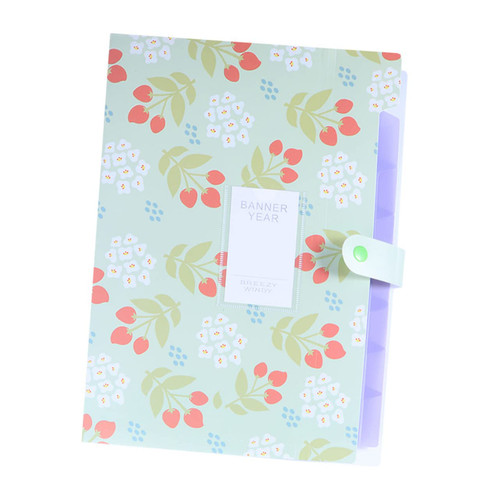 STOBOK 4pcs Expanding File Folder Accordion Folder Cartoon File Folder Concertina Folder File Storage Folder Pocket Folder Accordian Folder Expandable File Folders Button Organizer A4