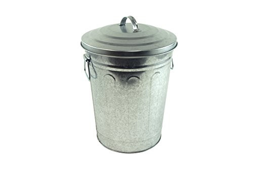 Steven Raichlen Best of Barbecue Galvanized Charcoal and Ash Can with Lid -- SR8012