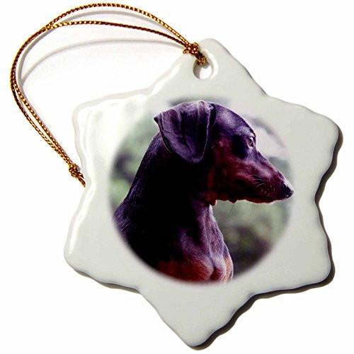 3dRose LLC Black Dachshund 3-Inch Snowflake Porcelain Ornament 3dRose LLC Black Dachshund 3-Inch Snowflake Porcelain Ornament