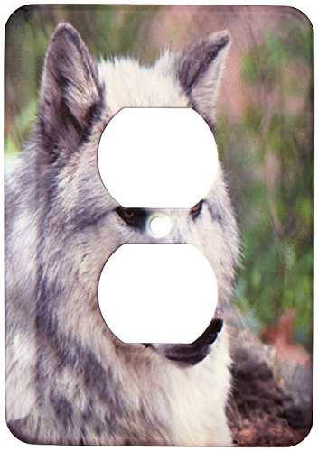 3dRose lsp_45348_6 Grey Wolf Posing Outlet Cover