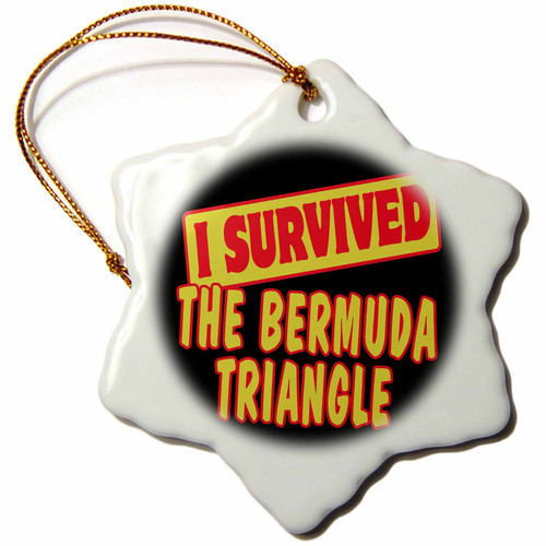 3dRose I Survived The Bermuda Triangle Survial Pride and Humor Design - Ornaments (orn-118295-1) 3dRose I Survived The Bermuda Triangle Survial Pride and Humor Design - Ornaments (orn-118295-1)
