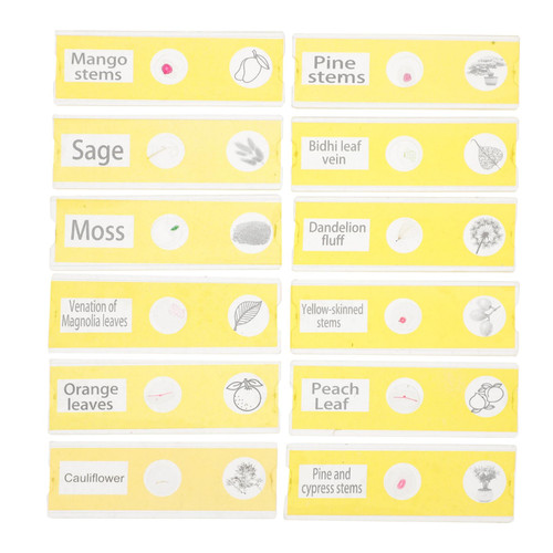 DOITOOL 12pcs Glass Slide Premade Plastic Microscope Slides Microscope Slides for Kids Microscope Slide for Kids Prepared Slides for Biology Slides for Microscope Sample Abs Child Plant