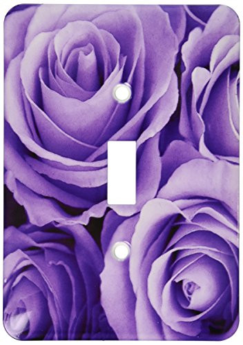 3dRose lsp_27564_1 Soft Lilac Purple Poses Bouquet Toggle Switch, Multi-Color