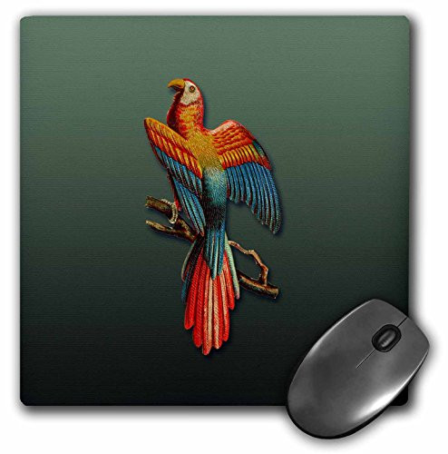 3dRose LLC 8 x 8 x 0.25 Inches Mouse Pad, Colorful Scarlet Macaw Parrot Perched on A Tree Branch (mp_171358_1)