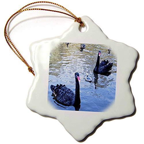 3dRose ORN_45010_1 Black Swans Snowflake Porcelain Ornament, 3-Inch