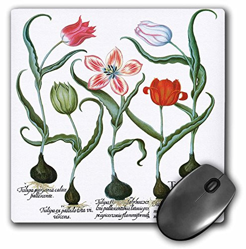 3dRose Tulips in White, Rich Red, Cream and Crimson Mouse Pad (mp_173779_1)