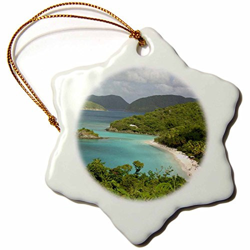 3dRose Danita Delimont - Bays - USVI, St. John, Trunk Bay, Virgin Islands NP-CA37 CMI0147 - Cindy Miller Hopkins - 3 inch Snowflake Porcelain Ornament (orn_70005_1)
