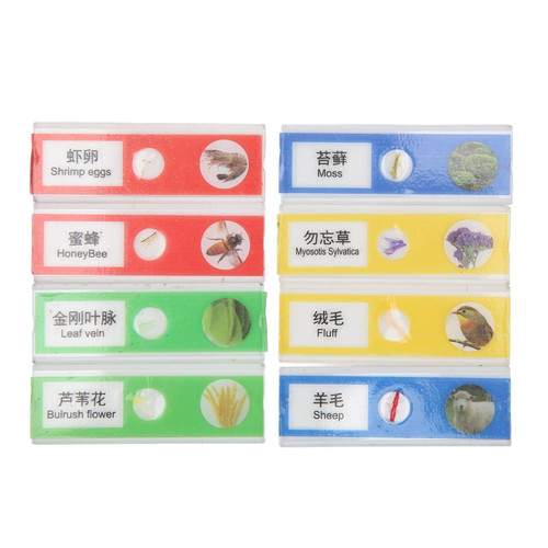 8Pcs Kids Microscope Specimen Slides Insect Plant Educational Prep Microscope Slides Entrylevel Student Educational Biology Experiment Kit