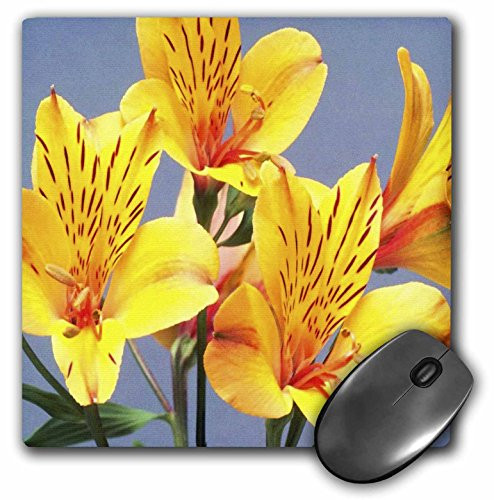 3Drose 8 X 8 X 0.25 Inches Mouse Pad Orange N Yellow Tiger Lillies (mp_59776_1)