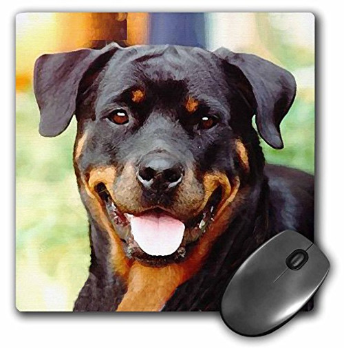 3dRose LLC 8 x 8 x 0.25 Inches Rottweiler Mouse Pad (mp_4368_1) 3dRose LLC 8 x 8 x 0.25 Inches Rottweiler Mouse Pad (mp_4368_1)