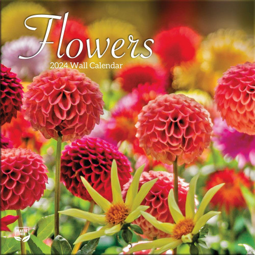 Turner Licensing, Flowers 2024 Mini Wall Calendar