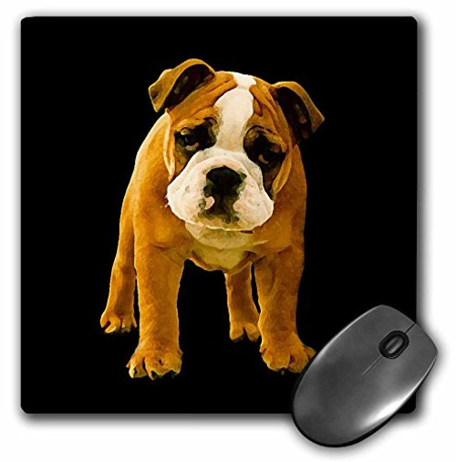 3dRose LLC 8 x 8 x 0.25 Inches Bulldog Puppy Mouse Pad (mp_3660_1) 3dRose LLC 8 x 8 x 0.25 Inches Bulldog Puppy Mouse Pad (mp_3660_1)