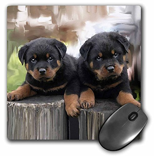 3dRose LLC 8 x 8 x 0.25 Inches Mouse Pad, Rottweiler (mp_4376_1) 3dRose LLC 8 x 8 x 0.25 Inches Mouse Pad, Rottweiler (mp_4376_1)