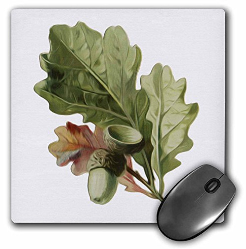 3dRose LLC 8 x 8 x 0.25 Inches Mouse Pad, Vintage Oak Leaves and Acorns Digital Nature Oil Painting (mp_104653_1)