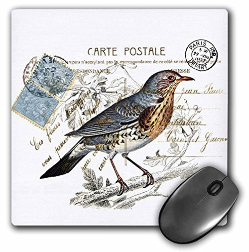 3dRose LLC 8 x 8 x 0.25 Inches Mouse Pad, Carte Postale Vintage Bird (mp_178816_1)