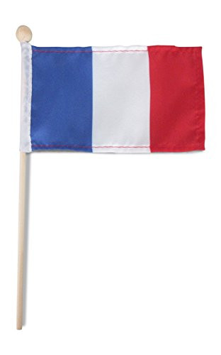 Tinisa's World Premium 4x6 Inch French France Hand Held Stick Flags Safety Ball Top -10 pack