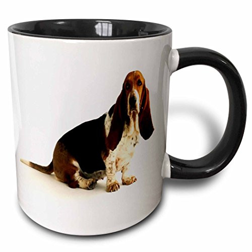 3dRose mug_80272_4"Handsome Basset Hound" Two Tone Black Mug, 11 oz, Multicolor 3dRose mug_80272_4"Handsome Basset Hound" Two Tone Black Mug, 11 oz, Multicolor