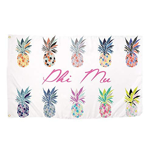 Desert Cactus Phi Mu Pop Art Pineapple Sorority Flag Greek Letter Use as a Banner 3 x 5 Feet Sign Decor