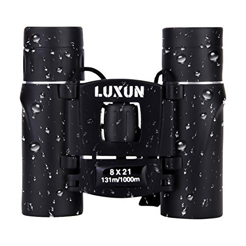Birding Binocular for Kids and Adult (821inch), Binocular Compact-Opera Binocular-Theater Binoculars-Folding Small Pocket Binocular (821, Black)