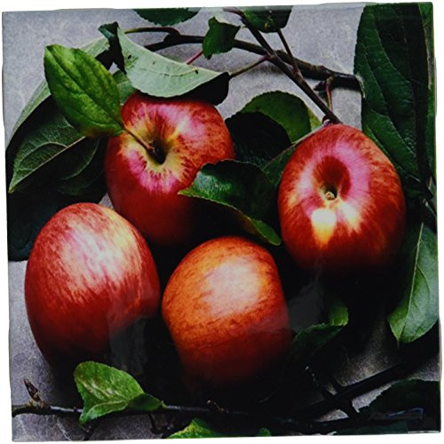 3dRose Apple Ceramic Tile Coaster, 6-Inch