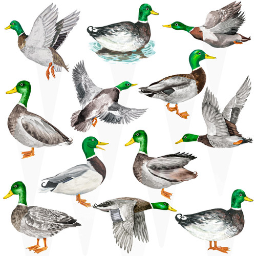 Mallard Duck Cupcake Toppers 48Pcs Duck Hunting Party Decorations Mallard Duck Cupcake Picks Duck Birthday Party Decoration for Animal Duck Baby Shower Supplies